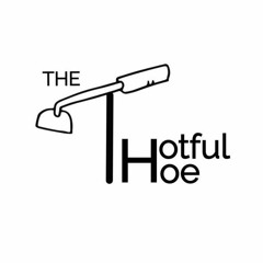 TheThotfulHoe - IntrHoe