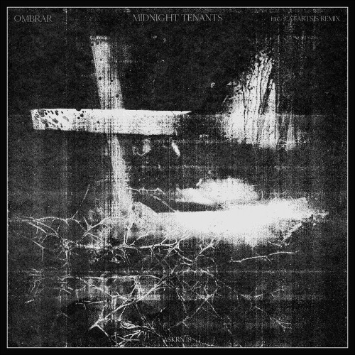 Premiere: OMBRAR - WoodWorm [ASKRNV18]