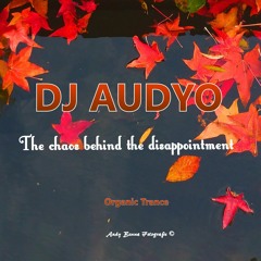 The Chaos Behind The Disappointment #Organic Trance