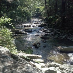 Entering the 3 weeks with the Noam Elimelech (15 minutes) - Rav Shlomo Katz