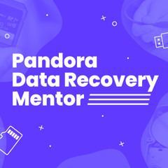 Pandora Data Recovery Mentor: Guidance and Tool Reviews