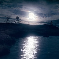 Moonlight (prod. TRIP)