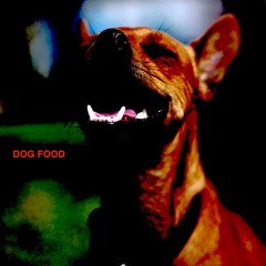 DOG FOOD (DEMO BEAT)