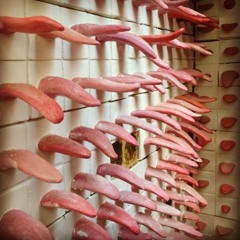 Devi McCallion - Princess (demo)