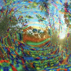 Synesthesia Field