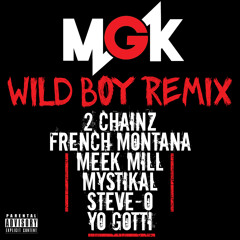 Wild Boy (Remix) [feat. 2 Chainz, French Montana, Meek Mill, Mystikal, Steve-O & Yo Gotti]