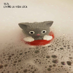 Living la vida loca (in the style of Ricky Martin)