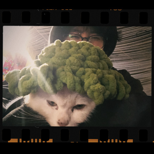 ôi tình iu thật điêu | lena