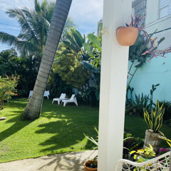 Ocean Park Puerto Rico - my garden at night