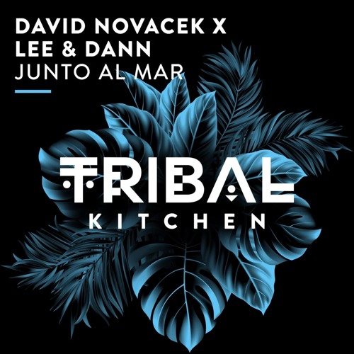 DAVID NOVACEK, LEE & DANN- Junto Al Mar (Original Mix)