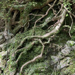 Dub Techno~IDM~Ambient~Experimental live DJ mix for 20251005 迂回 at 岐阜slowroom