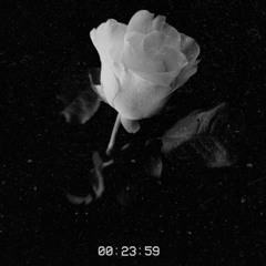 Take the chance and fly