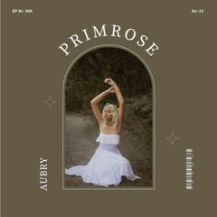 Aubry - Soft Life (no.type Remix)