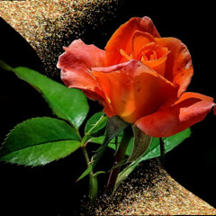 Maria durch ein Dornwald ging