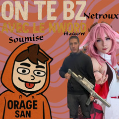 On te bz avec le nword : Hadow x Netroux