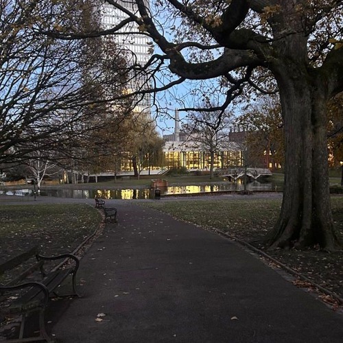 الجرح بين الحبايب جرح روتيني