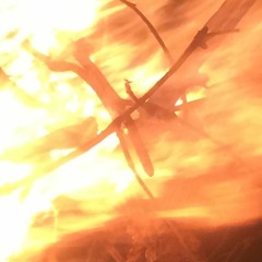 Somewhere in the Distance - Crackling Fire Embers