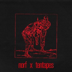 norf x tentapes