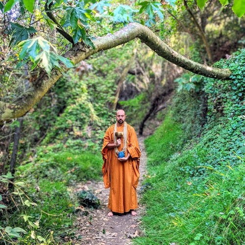 Podchat: A Review of Buddha's Cake by Seth Monk