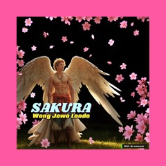 SAKURA WJL cover ( Indonesian song)