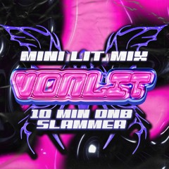 MINI LIT MIX SERIES [10 MIN PARTY DNB SLAMMERS]