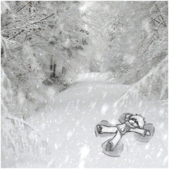 снег (meutry) #wintercore