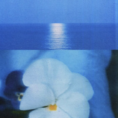 Cool On Nem (1kkyoto)