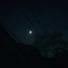 fly me to the moon