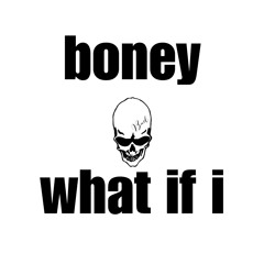 boney - what if i WIP