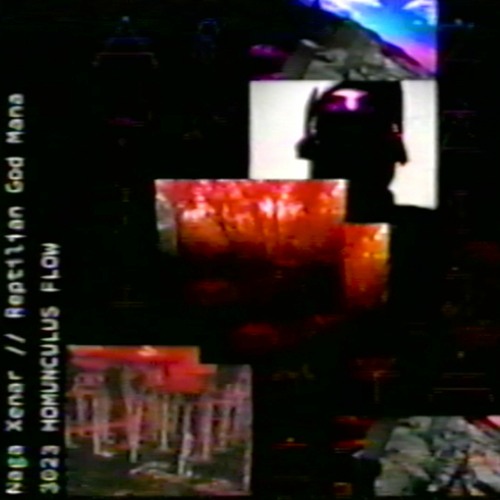 3023 HOMUNCULUS FLOW (Prod. REPTILIAN GOD MANA)