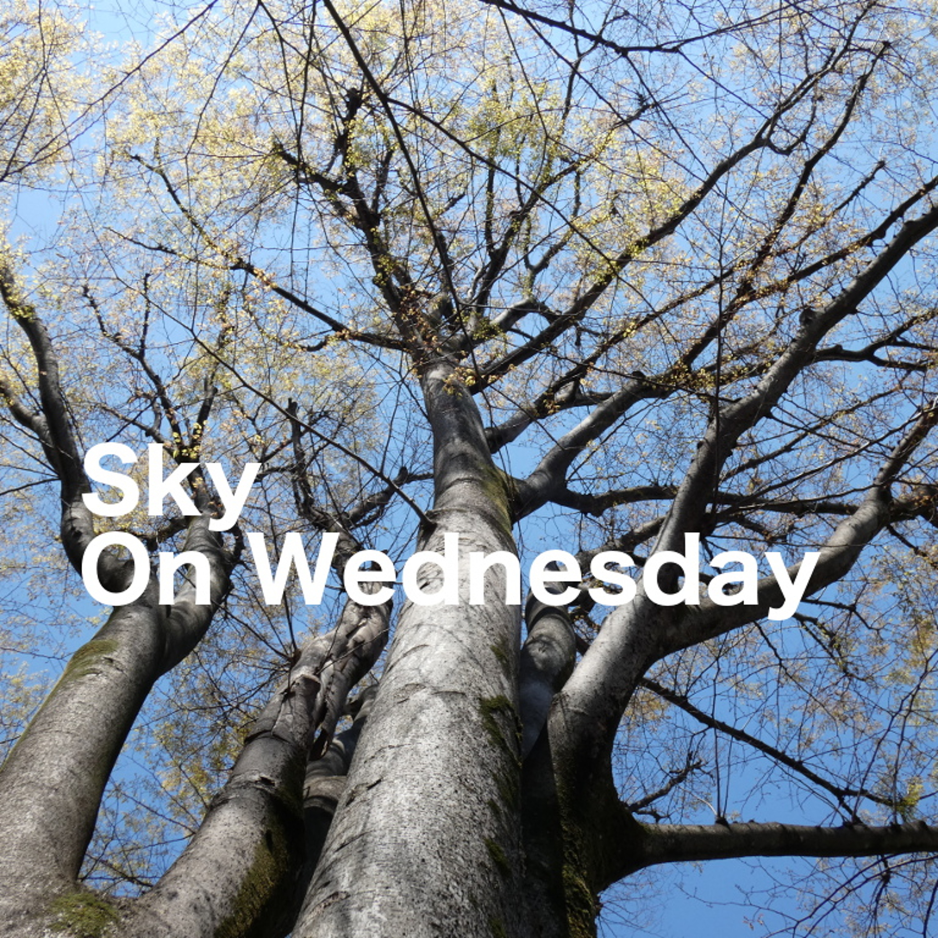 Sky On Wednesday episode artwork