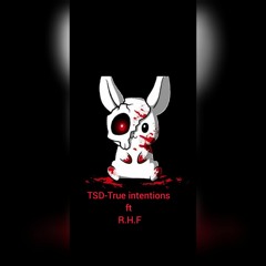 TSD-True intentions ft R.H.F