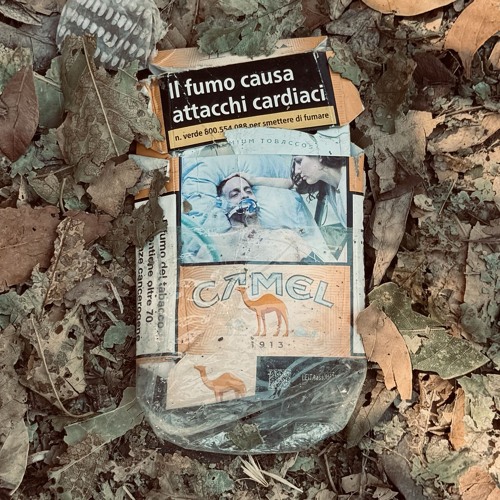 BABY LUNGS (without intro)