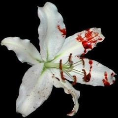 Flëur — Карусель