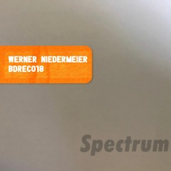 PREMIERE : Werner Niedermeier - Down the Stream [BDREC018]