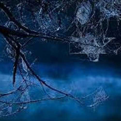 Lost Aspects