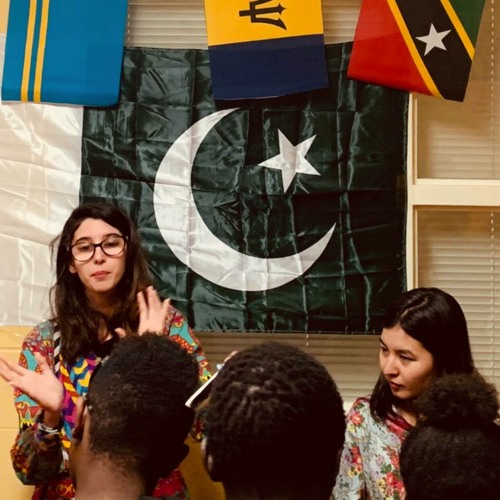 Florida visual data 3