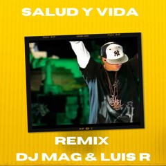 Daddy Yankee - Salud Y Vida Moombathon Remix - DJ Mag & Luis R