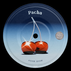 Pacha