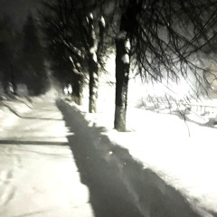Walk in the cold (slowed)