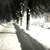 Artwork for Walk in the cold (slowed)