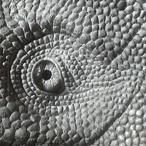 Dragon Eye