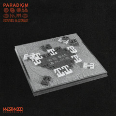 Kotek x Holly - Paradigm