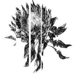 DUBOKO DEEP - Moscow Electronic Association Podcast 023