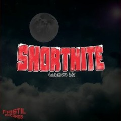 Snortnite Pikenes Jens Remix