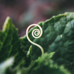 29_07 DREADheadz (16 SIN homerec 148).mp3