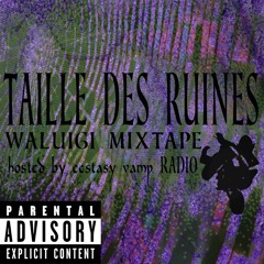 interlude éboueur gachiakuta