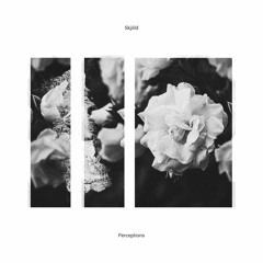 Skjöld - Intrusions
