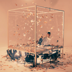 IM GLASHAUS MIT SCHEINEN WERFEN x Psycho Dreams