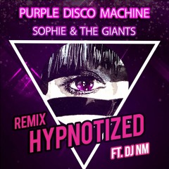 Hypnotized Remix ( DJ NM ) - Purple Disco Machine Sophie & The Giants -Free download